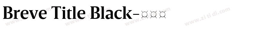 Breve Title Black字体转换 Breve Title Black字体转换